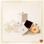 The Legacy Vault – Luxe