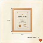 MOM's Medal of Honor Frame