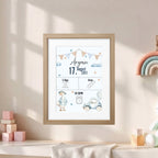 Birth Announcement Frame- Stork Blue